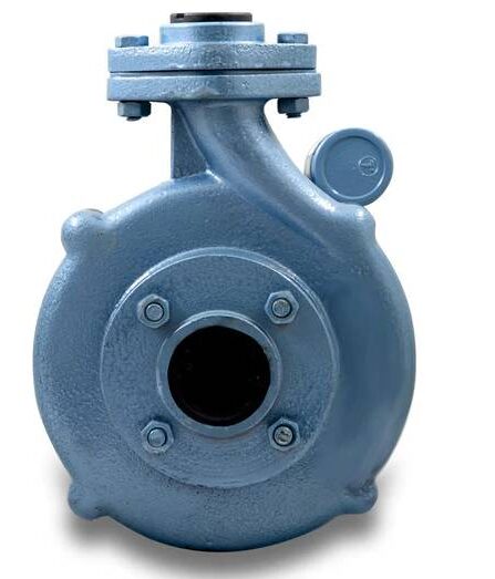 Centrifugal monoblock water pump for domestic use